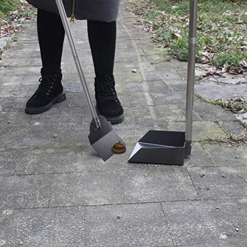 EXPAWLORER Pet Poop Tray, Rake and Spade Set 3 Pack Pooper Scooper