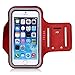 TRIBE Running Phone Holder Armband. iPhone & Galaxy Cell Phone Sports Arm Bands for Women, Men, Runners, Jogging, Walking, Exercise & Gym Workout. Fits All Smartphones. Adjustable Strap, CC/Key Pocket