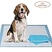 Gardner Pet Super-Absorbent 24 by 24 Inches Dog Training Pads - 2 Count of Pads