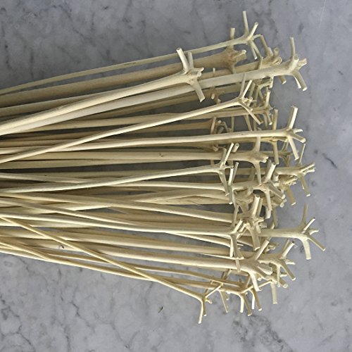Traditional Cocktail Swizzle Stick aka le Bois Lélé from Martinique