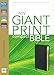 NIV, Giant Print Compact Bible, Giant Print, Premium Leather, Black