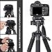 JOILCAN Camera Video Tripod Quick Release Mounting Plate for Zomei Q111，Z666 1 Pc Black