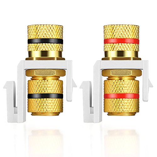 TNP Banana Jack Keystone Insert (Set of 2) - Stereo Speaker Banana Connector Binding Post Snap In Adapter Socket Female Port Inline Coupler For Wall Plate Outlet Panel, 2 Channel Black + Red (1 Pack)