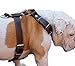 Brown Genuine Leather Dog Harness Large. 30