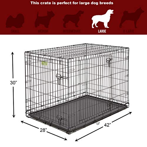 Large Dog Crate 1542DDUMidWest ICrate Double Door Folding Metal Dog