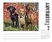 Just Labs 2018 Box Calendar (Dog Breed Calendar)