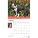 Boston Terrier Calendar 2019 Set - Deluxe 2019 Boston Terrier Wall Calendar with Over 100 Calendar Stickers (Boston Terriers Gifts, Office Supplies)