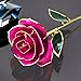 econoLED Long Stem Dipped 24k Gold Trim Red Rose in Gift Box,Valentines Gifts for Couples, Cute Valentines Day Gift Ideas, Good Couple Gifts for Valentines, Romantic (Purple)