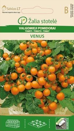 Seklos LT Balcony Tomato Venus Seed - 30 Seeds