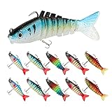 RIFEIKO 10Pcs Soft Fishing Lures with Jig Head