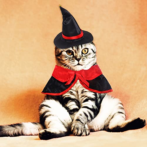 Pack Halloween Cat Costume Set Pet Vampire Cloak Cape Wizard