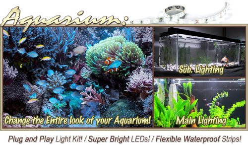 Biltek 2' ft Cool White Aquarium Tank Coral White LED Backlight Night Light On/Off Switch Control Kit - Main Lighting Sub Fresh Water Salt Water Tanks Water Resistant 3528 SMD Flexible DIY 110V-220V