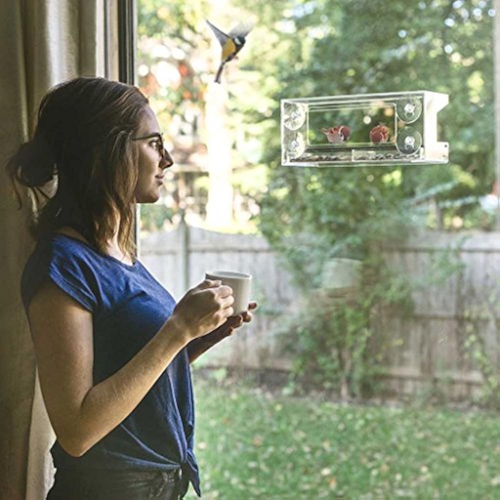 Window Bird Feeder Large Clear Acrylic Easy Clean Squirrel
