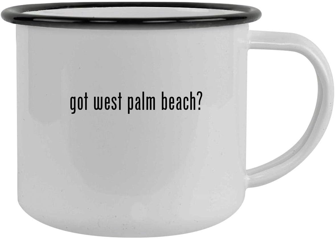 got west palm beach? - 12oz Camping Mug Stainless Steel, Black