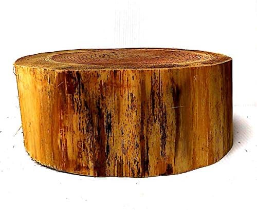 デルフリキャンプ 切り株 作業台 樹皮無し 直径23 高さ10 日本メーカー新品 薪割り台 パンホルダー ナイフワーク ポットベッド 丸太 チェア 踏み台
