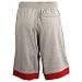 Nike Air Jordan Fleece Mens Shorts