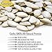 Gerbs Raw Whole Pumpkin Seeds 2 lbs. | In-Shell, 10.5 mm Size, Resealable Bag | Mildly Nutty & Crunchy | Top 14 Allergen-Free