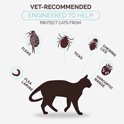 govesta flea collar for cats