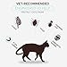 Flea and Tick Collar for Cats - Prevention and Control Fleas, Ticks and Pests for 8 Months - Hypoallergenic and Safe Design - 1 Size Fully Adjustable Waterproof Kitten Collar