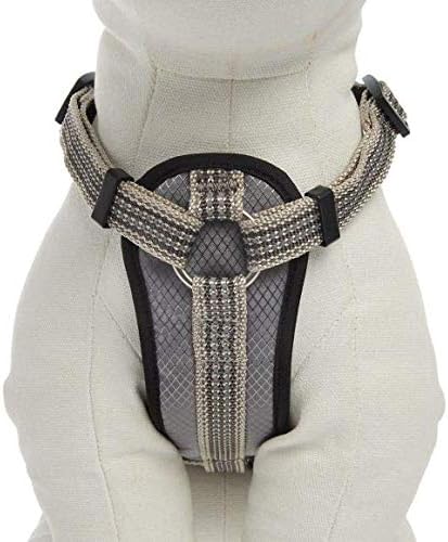 kong harness with pouch