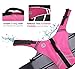 VIVAGLORY Sports Style Dog Life Vest, Dog Life Jacket for Swimming & Boating, Ripstop & Buoyancy for Puppy Doggy, Lifejacket with Handle, M, Pink