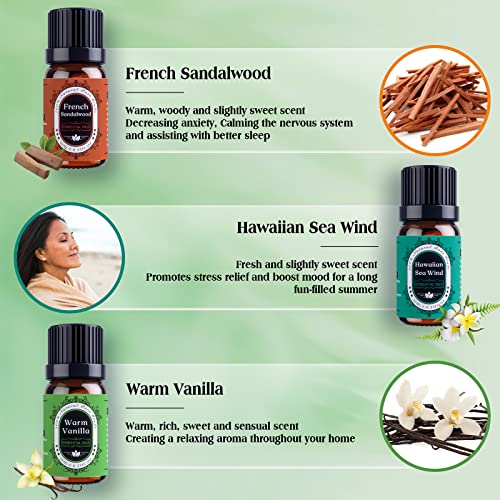 Natural Theme Essential Oils Set - Top 7 Aromatherapy Oils for Diffusers Humidifiers - Fragrance, Massages, Office, Soap Scents, Candle Making, Skin, Hair, Sleep, Calming, Relaxing, Home Care