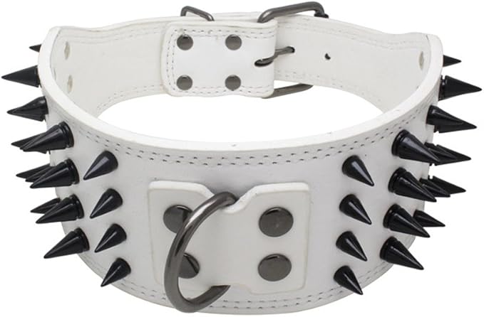 leather dog collars amazon