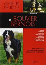 Le  bouvier bernois
