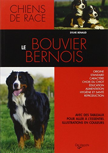 Le  bouvier bernois