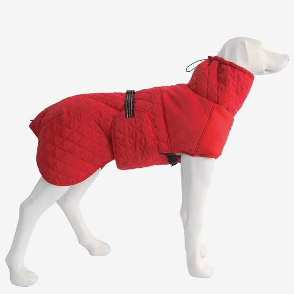 big dog jackets