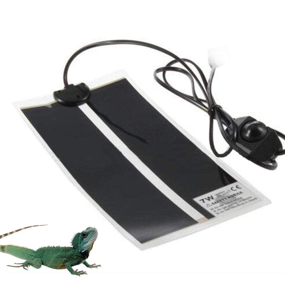 gecko heating pad