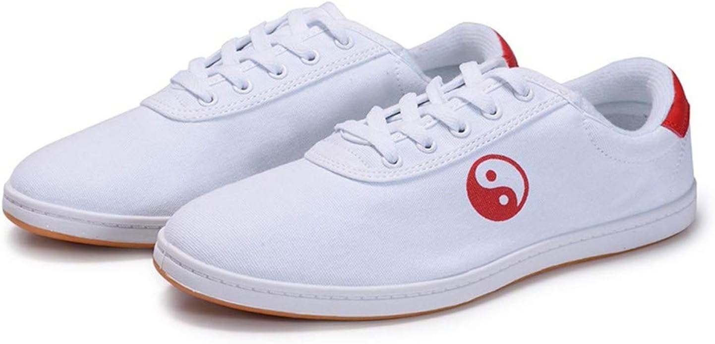 Unisex Chinese Qi Gong Wing Chun Taichi Martial Arts Canvas Shoes