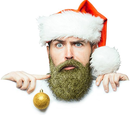 Glitterbeard by Beardaments- Beard Glitter with oil and brush - 4 Color Options