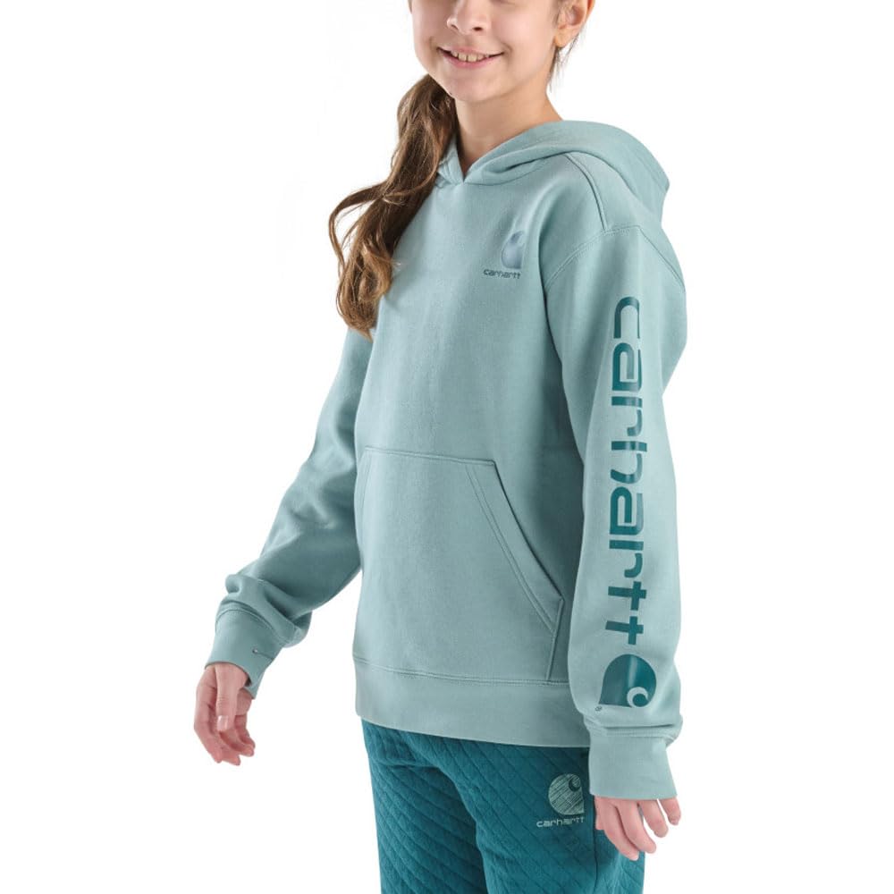 Carhartt Kid's CA7131 Long-Sleeve Graphic Sweatshirt - Girls Medium (10) Patina Image
