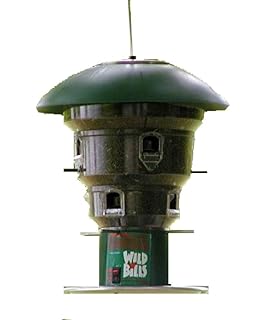 Amazon Com Squirrel Boss Bird Feeder And Freight Squirell Boss