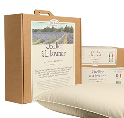 Oreiller à la Lavande - 60 x 60 cm