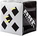 NXT Generation Inflatable 15" x 15" Box Target - Designed for Both Hook & Loop Tipped & Suction Tipped Foam Darts - Suitable for Indoor & Outdoor Play - Targets on Two Sides - for Children Ages 5+