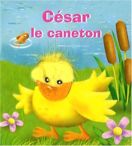 César le caneton