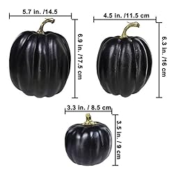 Winlyn 7 Pcs Assorted Sizes Harvest Cream