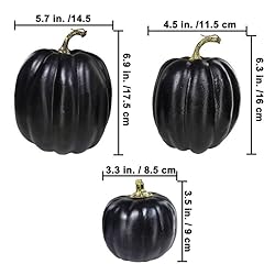 Winlyn 7 Pcs Assorted Artificial Black Pumpkins