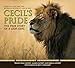 Cecil's Pride