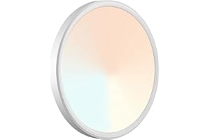 LZHOME LED Ceiling Light, 2800LM Super Bright 9 Inch Led Flush Mount Ceiling Light 3000K/4500K/6000K 3CCT Dimmable for Kitchen,Bedroom,Living Room (1 Pack, White)…