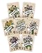 Edible Flower Seeds Variety Pack - 100% Non GMO - Nasturtium, Viola, Calendula, Chamomile, Chives, Bachelor Button, Calendula, Borage for Planting in Your Edible Blooms Culinary Garden