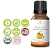 Certified Organic (USDA & ECOCERT) Sweet Orange Essential Oil by RejuveNaturals, 15 ml | Pure - Alcohol, Gluten & GMO Free | Natural Citrus Aromatherapy - Antifungal, Antibacterial, Stress Reliever