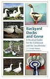 [Backyard Ducks and Geese: A Practical Guide for the Enthusiast and the Smallholder] (By: J. C. Jere by J. C. Jeremy Hobson