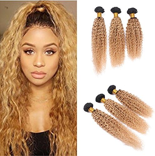 Ruma Hair #1B 27 Dark Root Ombre Brazilian Human Hair Weave Weft Extensions 3Pcs Lot 10-30'' Two Tone Honey Blonde Ombre Afro Kinky Curly Virgin Hair Bundles (20''20''20'')