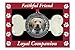 BANBERRY DESIGNS Pet Remembrance - Dog Photo Ornament - Dog Bone Design with Faithful Friend Loyal Companion Embossed Around Picture - Dog Memorial Ornament - Pet Memorial Ornament