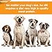 Beef and Bison Bites for Dogs by Mercola - 5 oz