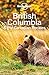Lonely Planet British Columbia & the Canadian Rockies (Travel Guide)
