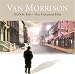 Van Morrison Domino